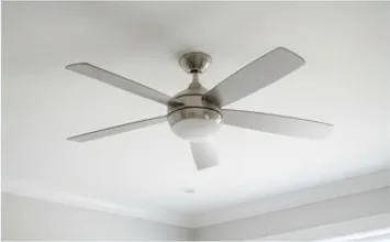 Living Room Ceiling & Fan Cleaning