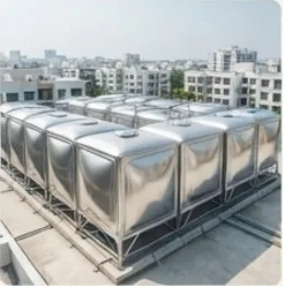 Society Water Tank Cleaning