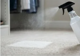 Pet Spot Cleaning