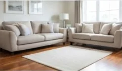 Living Room Cleaning