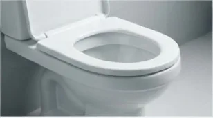 Emergency Toilet Blockage Service