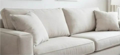 Sofa & Living Room Cleaning