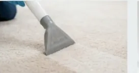 Pest / Spot Cleaning