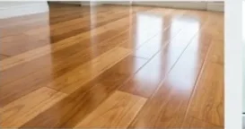 Floor Cleaning & Polishing