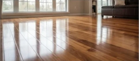 Living Room Floor Cleaning