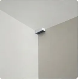 Cobweb Removal