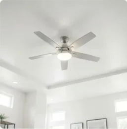 Ceiling & High-Level Cleaning