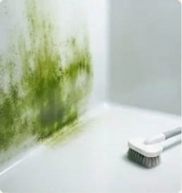 Water Tank Algae Cleaning