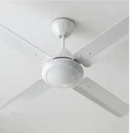 Ceiling Fan Cleaning