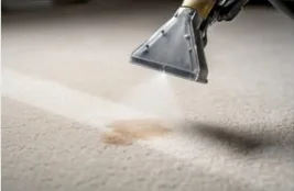 Spot Stain Cleaning