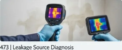 Leakage Source Diagnosis