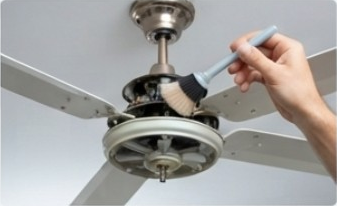 Ceiling Fan Servicing