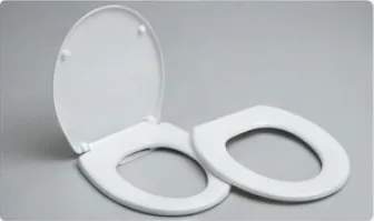 Toilet Seat Replacement