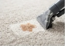 Odour Source Spot Cleaning
